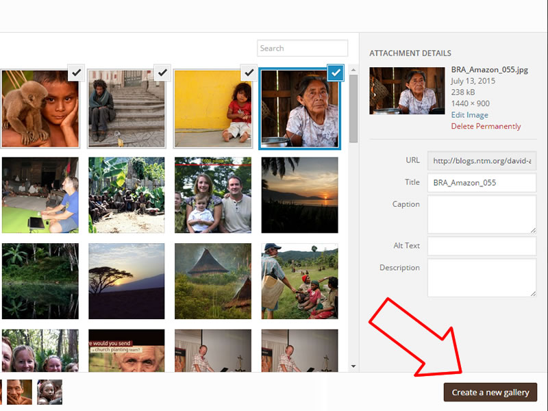 create-gallery-6